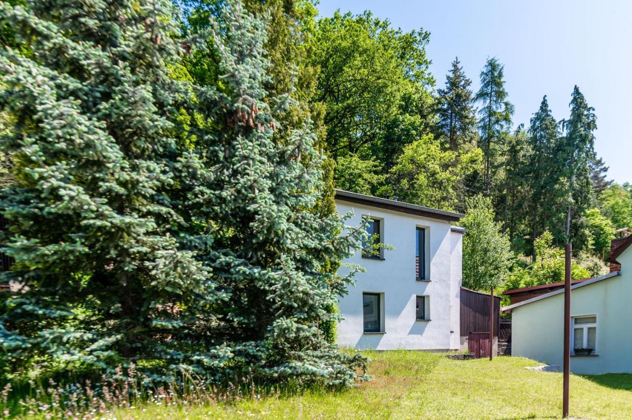Haus Am Wald Villa Bad Schandau Exterior foto